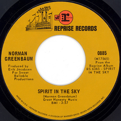 Norman Greenbaum Spirit In The Sky Vinyl 7" USED