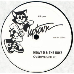 Heavy D. & The Boyz Overweighter Vinyl 12" USED