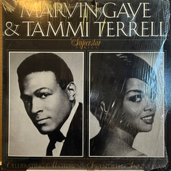 Marvin Gaye / Tammi Terrell Marvin Gaye & Tammi Terrell Vinyl LP USED