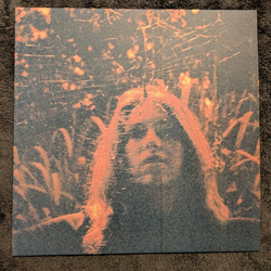 Turnover (3) Peripheral Vision Vinyl LP USED