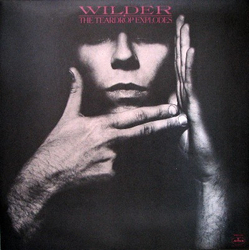 The Teardrop Explodes Wilder Vinyl LP USED