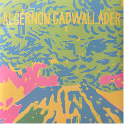 Algernon Cadwallader Trying Not To Have A Thought Vinyl LP USED
