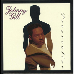 Johnny Gill Provocative Vinyl LP USED