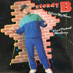 Steady B What's My Name / Don't Disturb This Groove Vinyl 12" USED