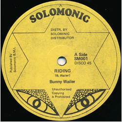 Bunny Wailer Riding Vinyl 12" USED