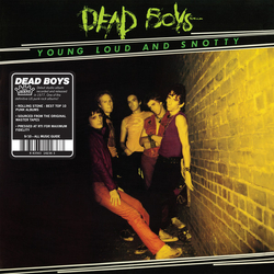 The Dead Boys Young Loud And Snotty Vinyl LP USED