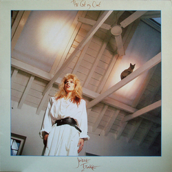 Judie Tzuke The Cat Is Out Vinyl LP USED