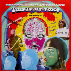 The Chocolate Watchband This Is My Voice Vinyl LP USED