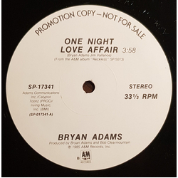 Bryan Adams One Night Love Affair Vinyl 12" USED