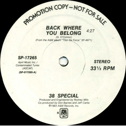 38 Special (2) Back Where You Belong Vinyl 12" USED