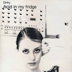 Dinky Acid In My Fridge Vinyl 12" USED