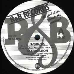 Imagination Flashback / Burnin’ Up Vinyl 12" USED