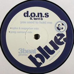 D.O.N.S. / Terri Bjerre You Used To Hold Me Vinyl 12" USED