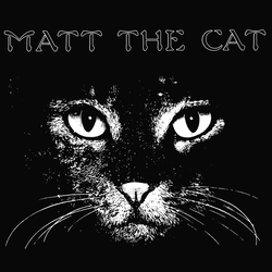Matthew Larkin Cassell Matt The Cat Vinyl LP USED