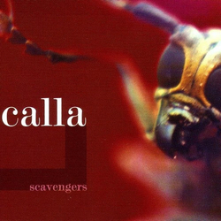 Calla Scavengers Vinyl LP USED