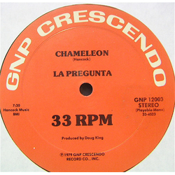 La Pregunta Chameleon Vinyl 12" USED