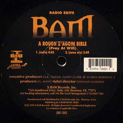 BAM (5) Eyez Open (Remix) / A Rough Z'aggin Bible Vinyl 12" USED