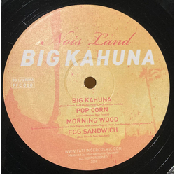 Nois Land Big Kahuna Vinyl 12" USED