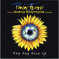 Pink Floyd / Андрій Хливнюк Hey Hey Rise Up Vinyl 7" USED