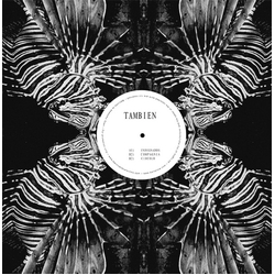 Tambien The Tambien Project Vinyl 12" USED
