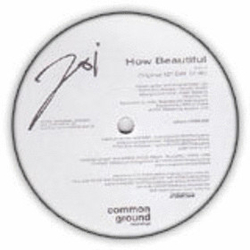 Joi (4) How Beautiful Vinyl 12" USED