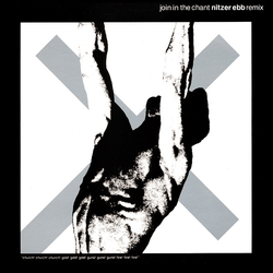 Nitzer Ebb Join In The Chant Vinyl 12" USED