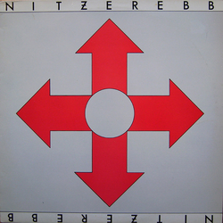 Nitzer Ebb Isnt It Funny How Your Body Works Vinyl 12" USED