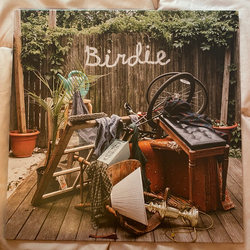 Slaughter Beach, Dog Birdie Vinyl LP USED