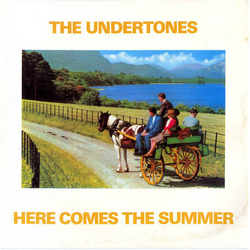 The Undertones Here Comes The Summer Vinyl 7" USED
