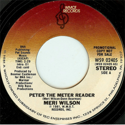 Meri Wilson Peter The Meter Reader Vinyl 7" USED
