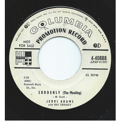 Jerri Adams / Ray Conniff Suddenly (The Meeting) Vinyl 7" USED