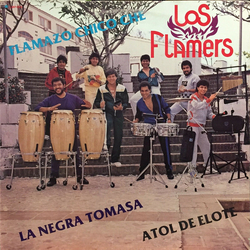 Los Flamers Atol de Elote, la Negra Tomasa, Flamazo Chico Che Vinyl LP USED