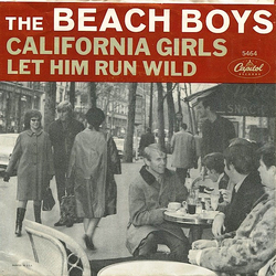 The Beach Boys California Girls / Let Him Run Wild Vinyl 7" USED