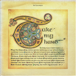 In Tua Nua Take My Hand Vinyl 12" USED