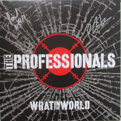 The Professionals (7) What In The World Vinyl LP USED