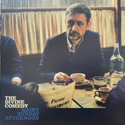 The Divine Comedy Rainy Sunday Afternoon Vinyl LP USED