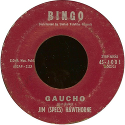 Jim Hawthorne Gaucho Vinyl 7" USED