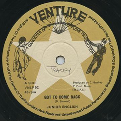 Junior English Got To Come Back Vinyl 12" USED