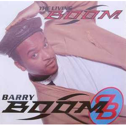Barry Boom The Living Boom Vinyl LP USED