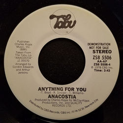 Anacostia Anything For You Vinyl 7" USED