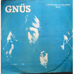 Gnüs I Wanna Be In Pictures Vinyl 7" USED