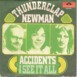 Thunderclap Newman Accidents Vinyl 7" USED