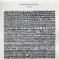 Tord Gustavsen Trio Seeing Vinyl LP USED