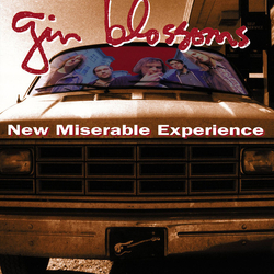 Gin Blossoms New Miserable Experience Vinyl LP USED