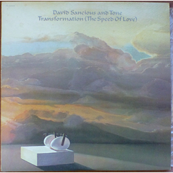 David Sancious And Tone Transformation (The Speed Of Love) Vinyl LP USED
