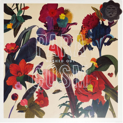 Washed Out Paracosm Vinyl LP USED