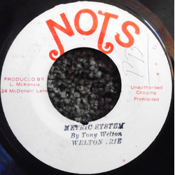 Welton Irie Metric System Vinyl 7" USED