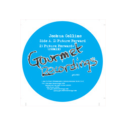 Joshua Collins Future Forward Vinyl 12" USED