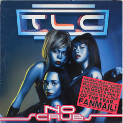 TLC No Scrubs Vinyl 12" USED