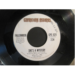 Fallenrock She's A Mystery Vinyl 7" USED